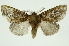  ( - INB0003131347)  @14 [ ] Copyright (2012) Juan Mata Lorenzen Unspecified