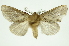  ( - INB0003131347)  @12 [ ] Copyright (2012) Juan Mata Lorenzen Unspecified
