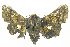  ( - INB0003142488)  @11 [ ] Copyright (2011) E. Phillips-Rodriguez INBio