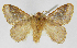  ( - INB0003145708)  @11 [ ] Copyright (2012) J. Montero Instituto Nacional de Biodiversidad