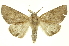  ( - INB0003146364)  @11 [ ] Copyright (2012) Juan Mata Lorenzen INBio