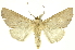  ( - INB0003146364)  @11 [ ] Copyright (2012) Juan Mata Lorenzen INBio