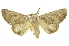  ( - INB0003146379)  @11 [ ] Copyright (2012) Juan Mata Lorenzen INBio