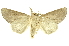  ( - INB0003146379)  @11 [ ] Copyright (2012) Juan Mata Lorenzen INBio