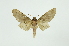  ( - INB0003146673)  @13 [ ] Copyright (2012) Juan Mata Lorenzen INBio
