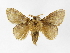  ( - INB0003150291)  @13 [ ] Copyright (2012) J. Montero Instituto Nacional de Biodiversidad