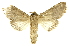  ( - INB0003150358)  @13 [ ] Copyright (2012) J. Montero INBio