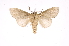  ( - INB0003150363)  @11 [ ] Copyright (2012) I. Chacon Instituto Nacional de Biodiversidad