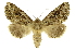  ( - INB0003153690)  @14 [ ] Copyright (2012) Juan Mata Lorenzen Unspecified