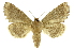  ( - INB0003153690)  @14 [ ] Copyright (2012) Juan Mata Lorenzen Unspecified