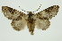  ( - INB0003153987)  @14 [ ] Copyright (2012) Juan Mata Lorenzen Unspecified