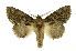  ( - INB0003154085)  @14 [ ] Copyright (2012) Juan Mata Lorenzen Unspecified