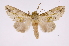  ( - INB0003154086)  @14 [ ] Copyright (2012) I. Chacon Instituto Nacional de Biodiversidad