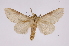  ( - INB0003154086)  @14 [ ] Copyright (2012) I. Chacon Instituto Nacional de Biodiversidad