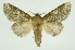  ( - INB0003154087)  @13 [ ] Copyright (2012) Juan Mata Lorenzen Unspecified