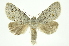  ( - INB0003154584)  @13 [ ] Copyright (2012) Juan Mata Lorenzen Unspecified