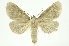  ( - INB0003154584)  @13 [ ] Copyright (2012) Juan Mata Lorenzen Unspecified