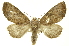  ( - INB0003154585)  @11 [ ] Copyright (2012) Juan Mata Lorenzen INBio