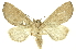  ( - INB0003154585)  @11 [ ] Copyright (2012) Juan Mata Lorenzen INBio