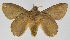  ( - INB0003154800)  @14 [ ] Copyright (2012) J. Montero Instituto Nacional de Biodiversidad