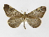  ( - INB0003154835)  @11 [ ] Copyright (2012) J. Montero Instituto Nacional de Biodiversidad