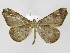  ( - INB0003154835)  @11 [ ] Copyright (2012) J. Montero Instituto Nacional de Biodiversidad