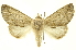  ( - INB0003166207)  @14 [ ] Copyright (2012) Juan Mata Lorenzen INBio