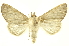  ( - INB0003166207)  @13 [ ] Copyright (2012) Juan Mata Lorenzen INBio