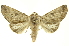  ( - INB0003166224)  @14 [ ] Copyright (2012) Juan Mata Lorenzen INBio