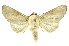  ( - INB0003166224)  @14 [ ] Copyright (2012) Juan Mata Lorenzen INBio