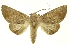  ( - INB0003172386)  @11 [ ] Copyright (2012) Juan Mata Lorenzen INBio