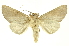  ( - INB0003172386)  @11 [ ] Copyright (2012) Juan Mata Lorenzen INBio