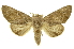  ( - INB0003172389)  @11 [ ] Copyright (2012) Juan Mata Lorenzen INBio