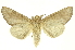  ( - INB0003172389)  @11 [ ] Copyright (2012) Juan Mata Lorenzen INBio