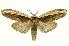  ( - INB0003172394)  @11 [ ] Copyright (2012) J. Montero INBio