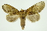  ( - INB0003172673)  @11 [ ] Copyright (2012) Juan Mata Lorenzen Unspecified