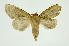  ( - INB0003172673)  @11 [ ] Copyright (2012) Juan Mata Lorenzen Unspecified