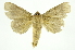  ( - INB0003172696)  @11 [ ] Copyright (2012) Juan Mata Lorenzen Unspecified