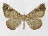  ( - INB0003173772)  @11 [ ] Copyright (2012) J. Montero Instituto Nacional de Biodiversidad