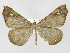  ( - INB0003173772)  @11 [ ] Copyright (2012) J. Montero Instituto Nacional de Biodiversidad