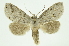  ( - INB0003173829)  @14 [ ] Copyright (2012) Juan Mata Lorenzen Unspecified