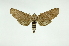  ( - INB0003173839)  @14 [ ] Copyright (2012) Juan Mata Lorenzen Unspecified