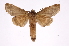  ( - INB0003173842)  @12 [ ] Copyright (2012) I. Chacon Instituto Nacional de Biodiversidad