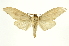  ( - INB0003173846)  @13 [ ] Copyright (2012) Juan Mata Lorenzen Unspecified