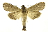  ( - INB0003173850)  @14 [ ] Copyright (2012) Juan Mata Lorenzen Unspecified