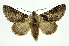  ( - INB0003219836)  @14 [ ] Copyright (2012) Juan Mata Lorenzen Unspecified