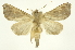  ( - INB0003228916)  @13 [ ] Copyright (2012) Juan Mata Lorenzen Unspecified