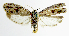  ( - INB0003230938)  @12 [ ] CreativeCommons - Attribution Non-Commercial Share-Alike  National Biodiversity Institute of Costa Rica National Biodiversity Institute of Costa Rica