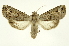  ( - INB0003300310)  @11 [ ] Copyright (2012) Juan Mata Lorenzen Unspecified