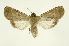  ( - INB0003300310)  @11 [ ] Copyright (2012) Juan Mata Lorenzen Unspecified